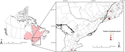 Pathogen presence, prevalence, and diversity in Ixodes scapularis and mammal hosts at their expanding northern range limits